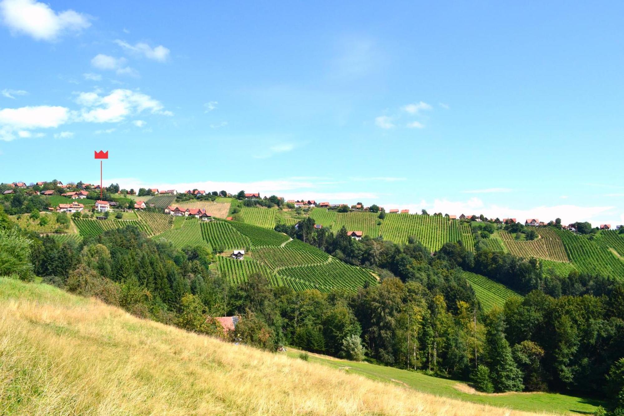 Schilcher-Residenz Steinreib Kültér fotó